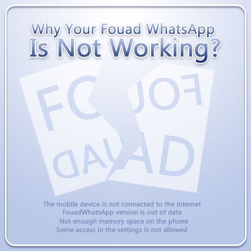 Fouad WhatsApp is not working